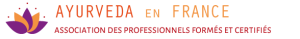 logo-aef-en-long-V2