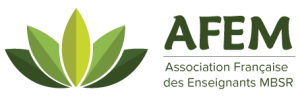 logo AFEM
